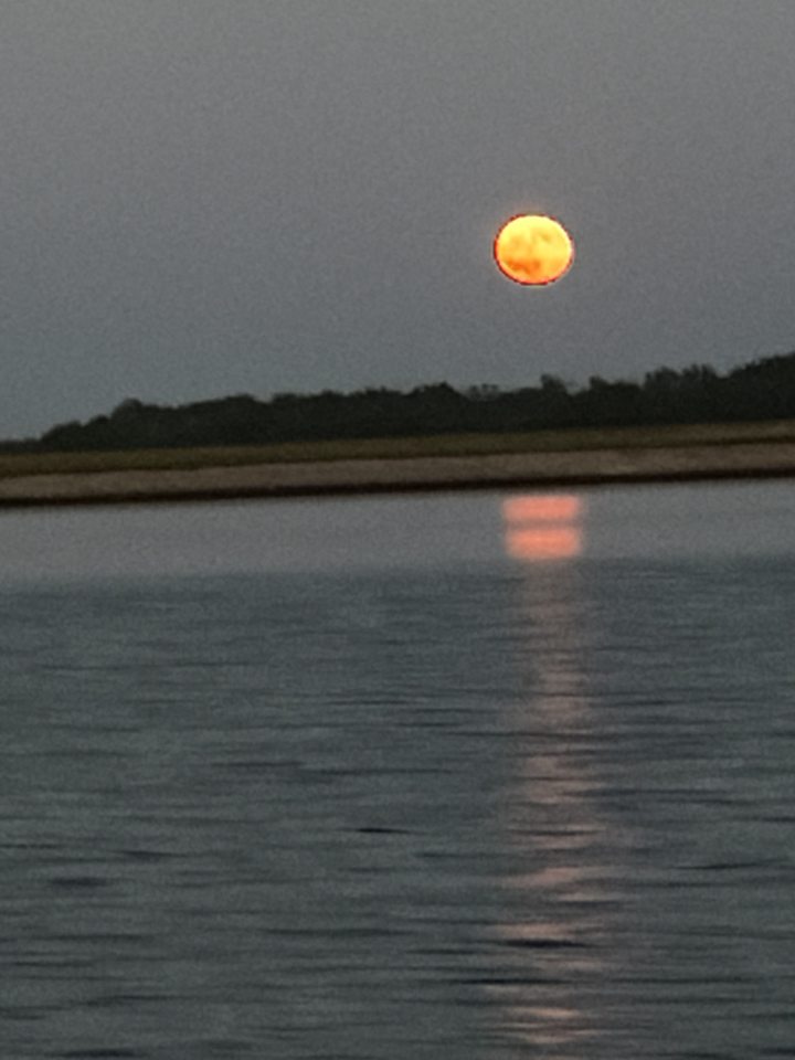 Warm-colored moon above calm water with its reflection below